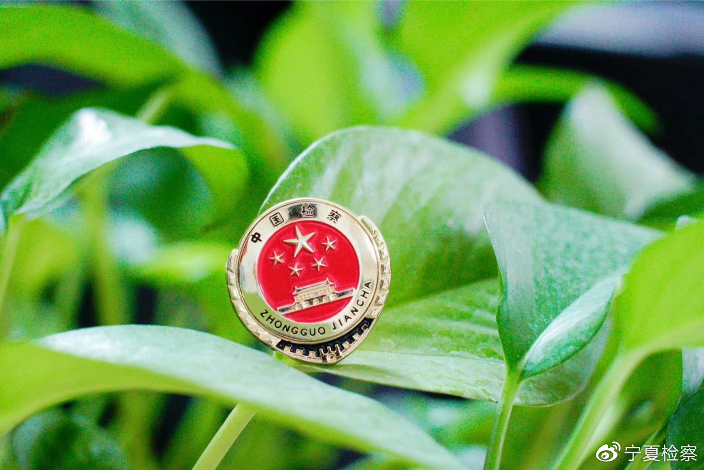 一份特殊且暖心的“礼物” 筑起检企“连心桥”